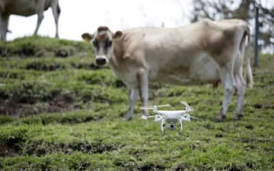 Los drones alzan vuelo como aliados de un agro en Costa Rica que busca ser más productivo