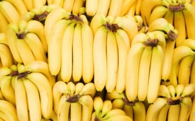 Costa Rica proyecta su liderazgo en el congreso internacional más importante del sector bananero 
