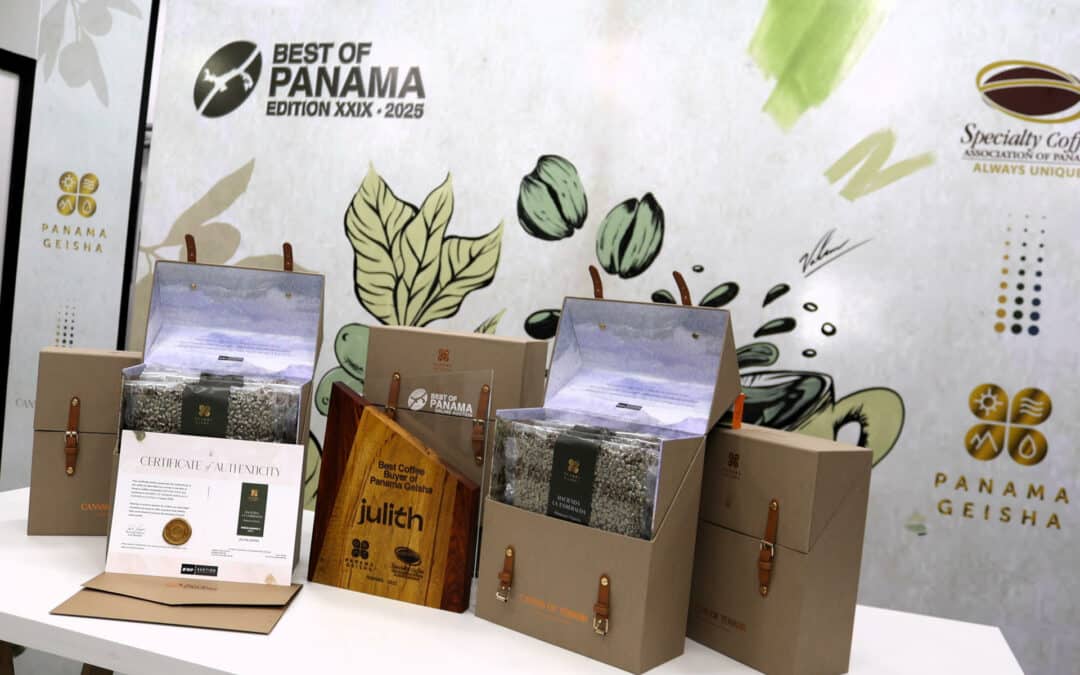 Empresa de Dubái recoge 20 kilos de café de lujo que compró en Panamá por US$600.000