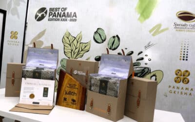 Empresa de Dubái recoge 20 kilos de café de lujo que compró en Panamá por US$600.000