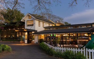 Cadena costarricense El Novillo Alegre llega a El Salvador con su primera franquicia internacional