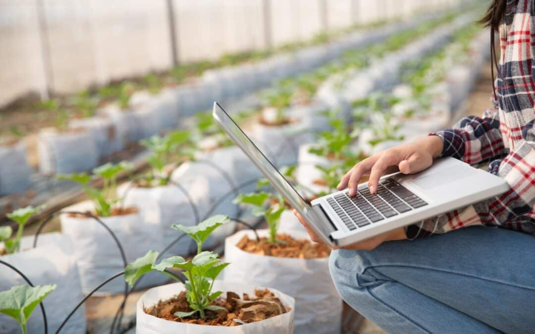 Centroamérica da un salto digital en su agroindustria con alianza GBM–SofOS