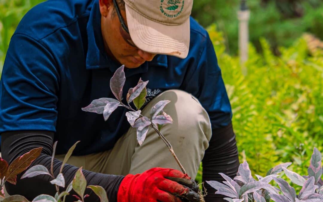 Reserva Conchal impulsa soluciones basadas en la naturaleza para enfrentar el cambio climático