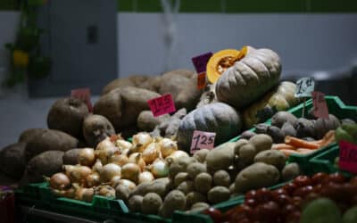 Las ventas de Centroamérica a EE.UU. crecen en medio de la incertidumbre y los aranceles