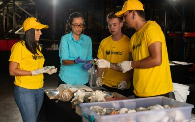 Proyecto “De Vuelta a Casa” gana reconocimiento en Premios AmCham Negocios Sostenibles 2025