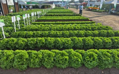 Costa Rica presenta su propuesta país para la inversión en agroindustria y sectores estratégicos en México