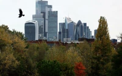 El “efecto lujo”: la biodiversidad también es cuestión de clase en las ciudades