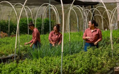 Costa Rica: Mujeres jefas de hogar lideran proyecto de agricultura sostenible y economía circular en Guanacaste