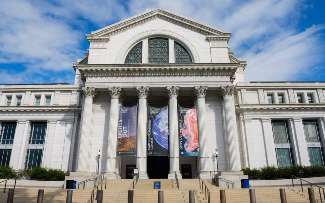 Museos y espacios públicos reabren en EE.UU. tras el fin del cierre de Gobierno