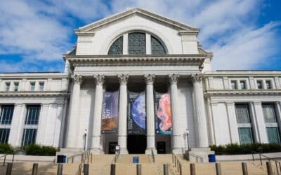 Museos y espacios públicos reabren en EE.UU. tras el fin del cierre de Gobierno