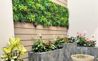 Plantia revoluciona la creación de espacios verdes decorativos