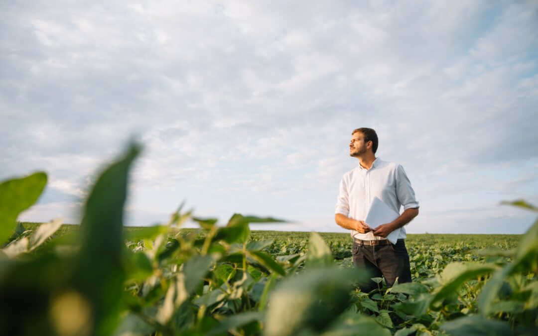 La soya sostenible de Estados Unidos: suministro constante confiable de alimentos nutritivos
