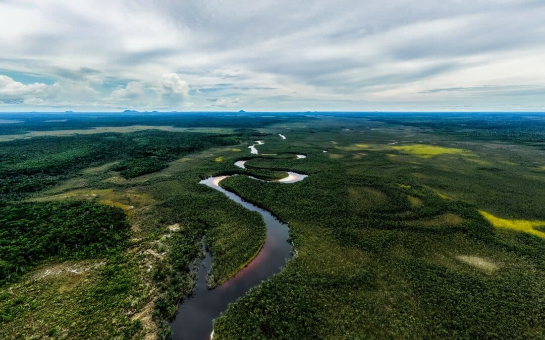 CAF destinará US$40.000 millones en los próximos cinco años para impulsar el crecimiento verde
