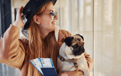 Costa Rica registra más viajes internacionales con mascotas