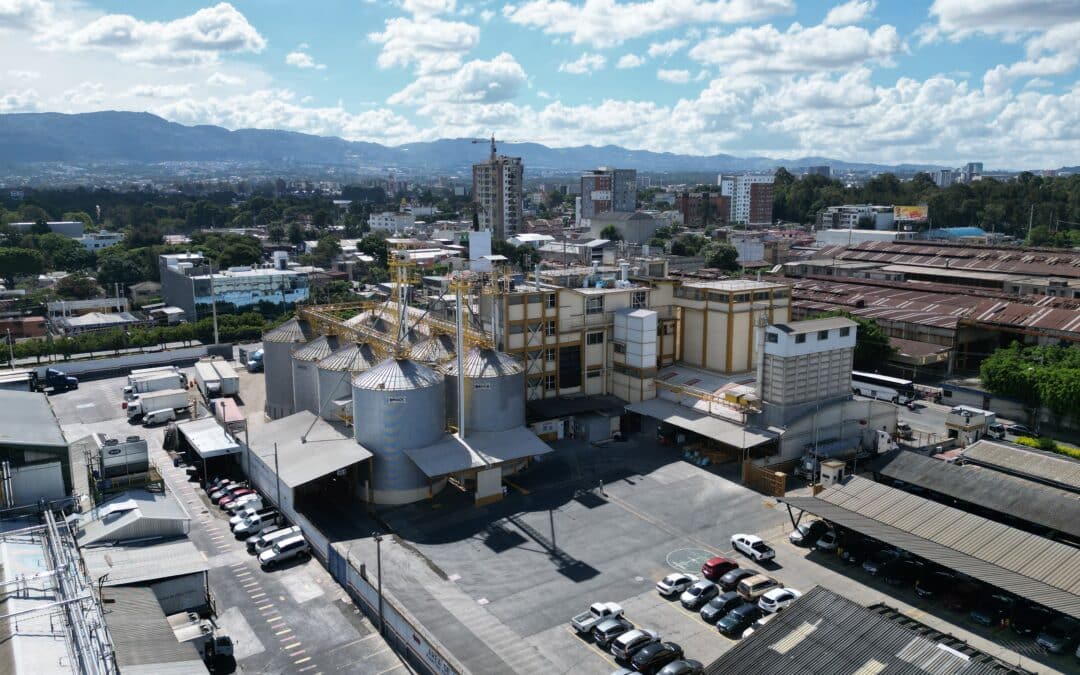CMI porta la batuta en el mercado molinero regional