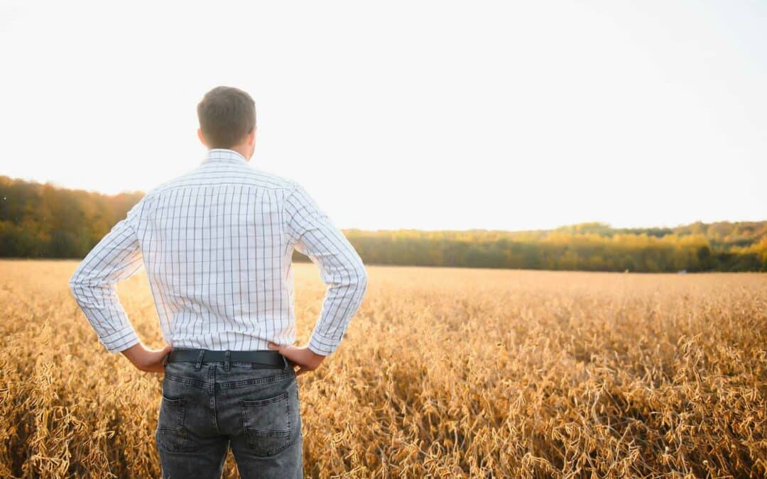 La soya sostenible de Estados Unidos fortalece la seguridad alimentaria en el mundo