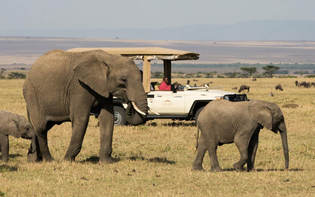 Baby boomers redefinen los viajes de lujo a través de la autenticidad y el diseño de experiencias