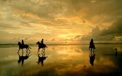 Costa Rica es galardonada como el mejor destino saludable y de bienestar