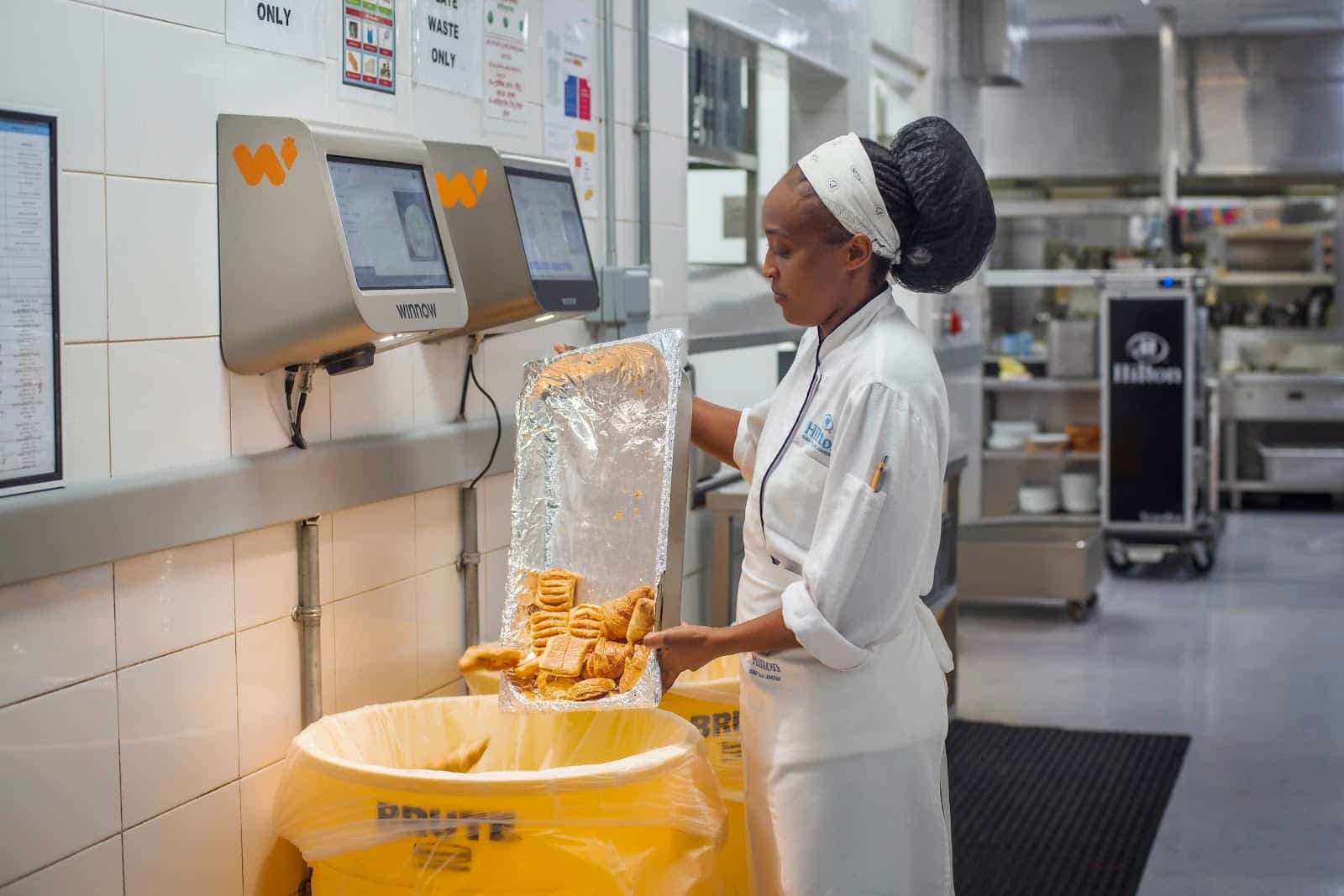 desperdicio alimentos